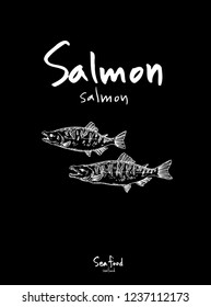 Sea food sketch / Hand drawn food ingredients - vector