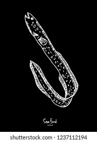 Sea food sketch / Hand drawn food ingredients - vector