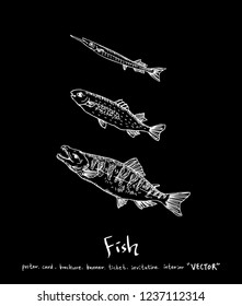Sea food sketch / Hand drawn food ingredients - vector
