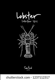 Sea food sketch / Hand drawn food ingredients - vector