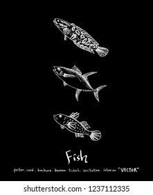 Sea food sketch / Hand drawn food ingredients - vector