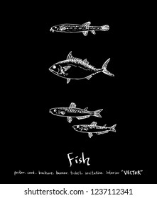 Sea food sketch / Hand drawn food ingredients - vector