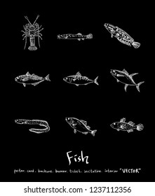 Sea food sketch / Hand drawn food ingredients - vector