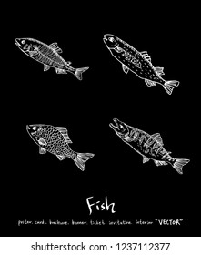 Sea food sketch / Hand drawn food ingredients - vector