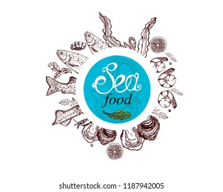 sea food vector illustration, hand drawing, trout, shrimp, oyster, circle