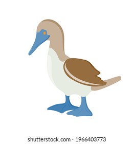 sea ​​bird. gannet. bird with blue paws. Vector illustration isolated on white background.