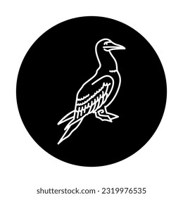 Sea ​​bird gannet black line icon. Pictogram for web page, mobile app, promo.