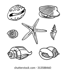 Sea gifts. Hand drawn vector.