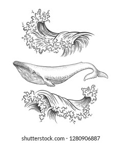 Sea graphic vector illustration with ocean waves and whale. Travel, outdoor, adventure, explore symbol. Hand drawn engraving style for tattoo, print, poster, sticker, card design.