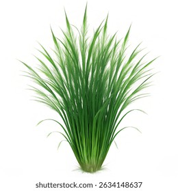 Sea Grass 3D Rendering Illustration, suitable for World environment day.  Vector illustration on white background.