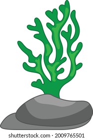 Sea gree grass vector art and illustration