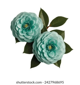 sea green color Camellia flower vector artwork 