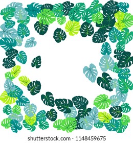 Sea green tropical jungle leaves vector scatter. Philodendron or monstera plant summer background. Minimal jungle plants tropical foliage pattern. Floral graphics with monstera leaves on white.
