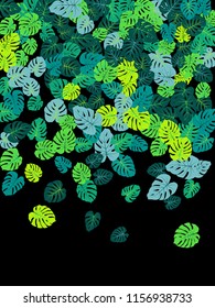 Sea green tropical jungle leaves vector scatter. Philodendron or monstera plant summer background. Closeup jungle plants tropical foliage pattern. Floral graphics with monstera leaves on black.
