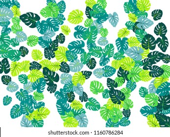 Sea green tropical jungle leaves vector scatter. Philodendron or monstera plant summer background. Awesome jungle plants tropical foliage pattern. Floral design with monstera leaves on white.