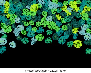 Sea green tropical jungle leaves vector scatter. Philodendron or monstera plant summer background. Paradise jungle plants tropical foliage pattern. Floral design with monstera leaves on black.