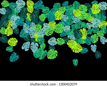 Sea green tropical jungle leaves vector scatter. Philodendron or monstera plant summer background. Bohemian jungle plants tropical foliage pattern. Floral graphics with monstera leaves on black.