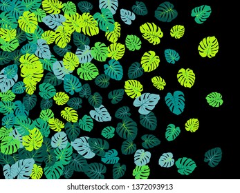 Sea green tropical jungle leaves vector scatter. Philodendron or monstera plant summer background. Exotic jungle plants tropical foliage pattern. Greenery vector with monstera leaves on black.