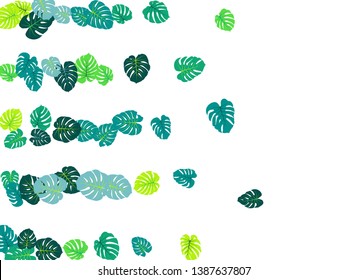 Sea green tropical jungle leaves vector scatter. Philodendron or monstera plant summer background. Paradise jungle plants tropical foliage pattern. Floral design with monstera leaves on white.