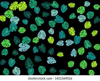 Sea green tropical jungle leaves vector scatter. Philodendron or monstera plant summer background. Simple jungle plants tropical foliage pattern. Floral design with monstera leaves on black.