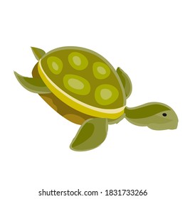 sea green turtle, cartoon illustration, isolated object on white background, vector, eps