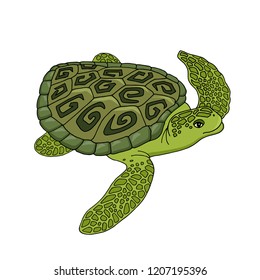 3,190 Sea turtles clip art Images, Stock Photos & Vectors | Shutterstock