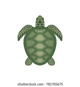 Sea green turtle isolated on a white background. Cartoon style vector illustration