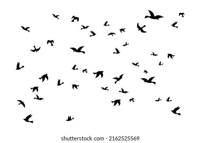 Sea gull background. Black birds silhouette flying, marine sky with flock of doves different poses, freedom symbol, nautical animal backdrop. Seagull wings. Vector outline shape