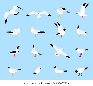 Sea Gull, a beautiful bird. Cute bird in cartoon style. Floating, standing and flying birds in a flat style. Seagulls in a flat style.