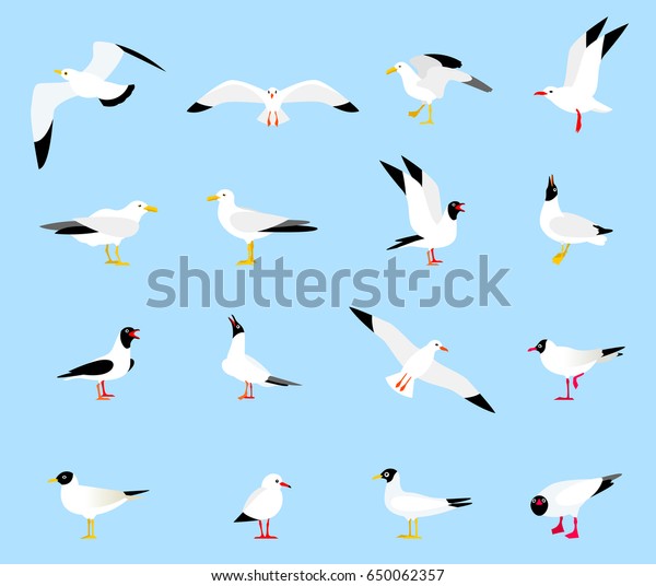 美しい鳥 海カモメ 漫画風の可愛い鳥 浮き鳥 立鳥 飛鳥を平らに 平たい形をしたカモメ のベクター画像素材 ロイヤリティフリー 650062357