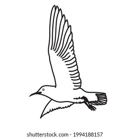 diseño ilustrativo de la línea vectorial de la mosca de la gaviota marina