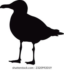 a sea gull body silhouette vector