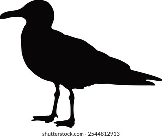 a sea gull body silhouette vector