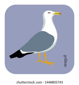 Sea gull icon. Colorful flat vector illustration. 