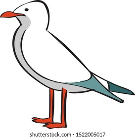 Sea gull, illustration, vector on white background.