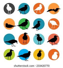 Sea Gull Silhouette, Vector 