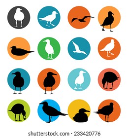 Sea Gull Silhouette, Vector 