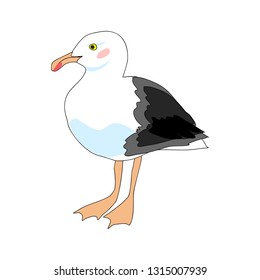 Sea gull vector isolated
