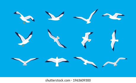 Gaviotas de mar volando en el cielo. Conjunto de aves marinas. Siluetas aisladas sobre fondo azul. Ilustración vectorial en estilo plano.