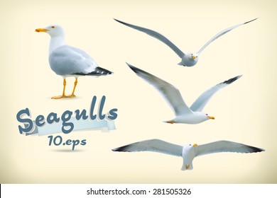 Sea Gulls Vector Icon Set