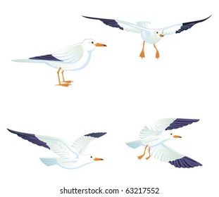 Sea gulls, vector illustration