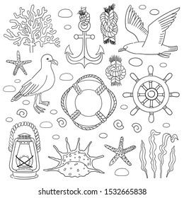 Sea hand draw sketch vector set. Icons Gull, seaweed, starfish, coral hand drawn isolated objects. Icons in sketch style. Marine clipart
