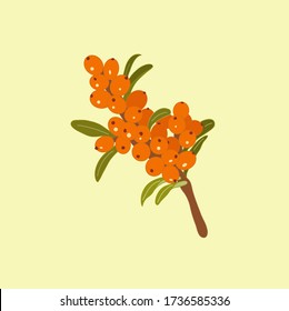 ​ ​ 