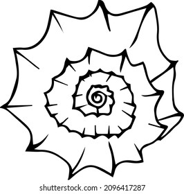 Sea hand drawn  ancient malyuska swirling shell.