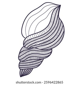 sea ​​shell hand drawn with simple lines on transparent background