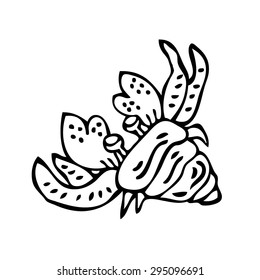 Sea hermit cartoon