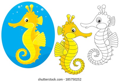 sea horse