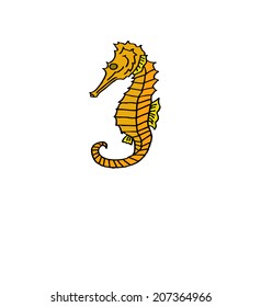 sea horse