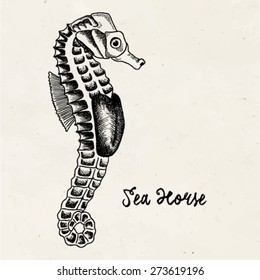 Sea Horse