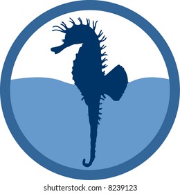sea horse